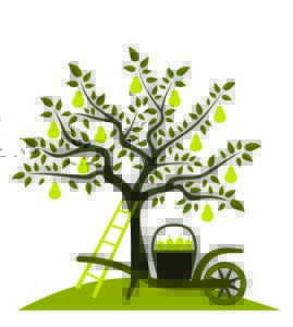 fruittree