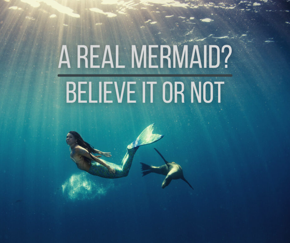 A Real Mermaid Believe It or Not