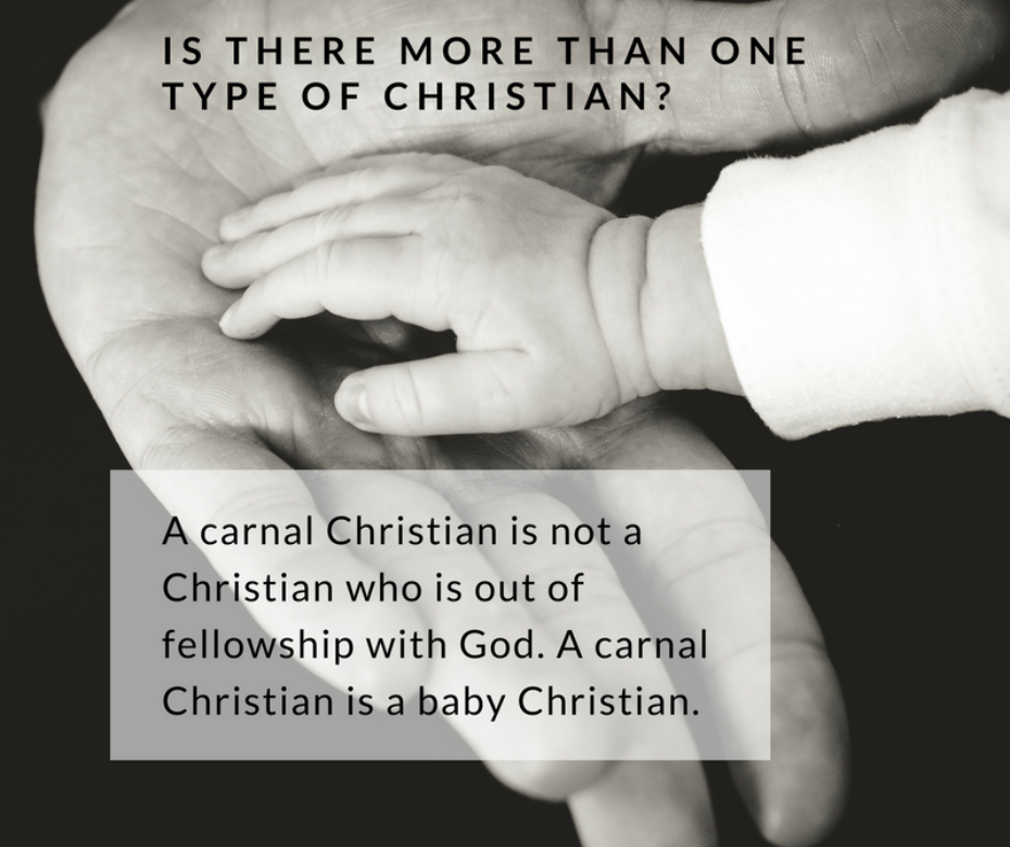 A carnal Christian is not a Christian who is out of fellowship with God. A carnal Christian is a baby Christian.