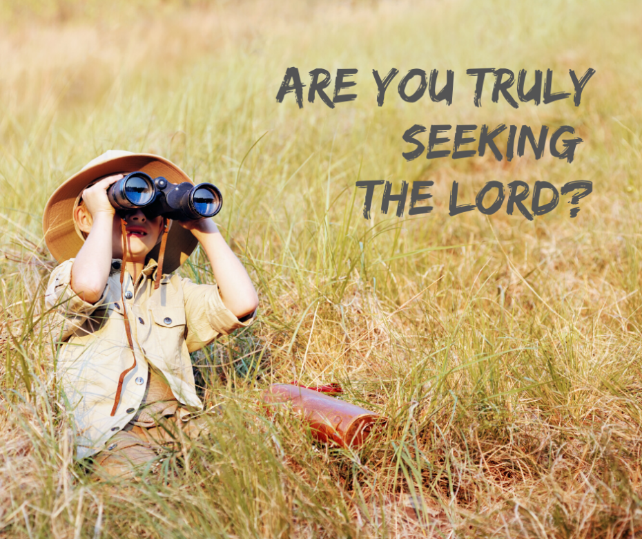 Are You Truly Seeking the Lord_