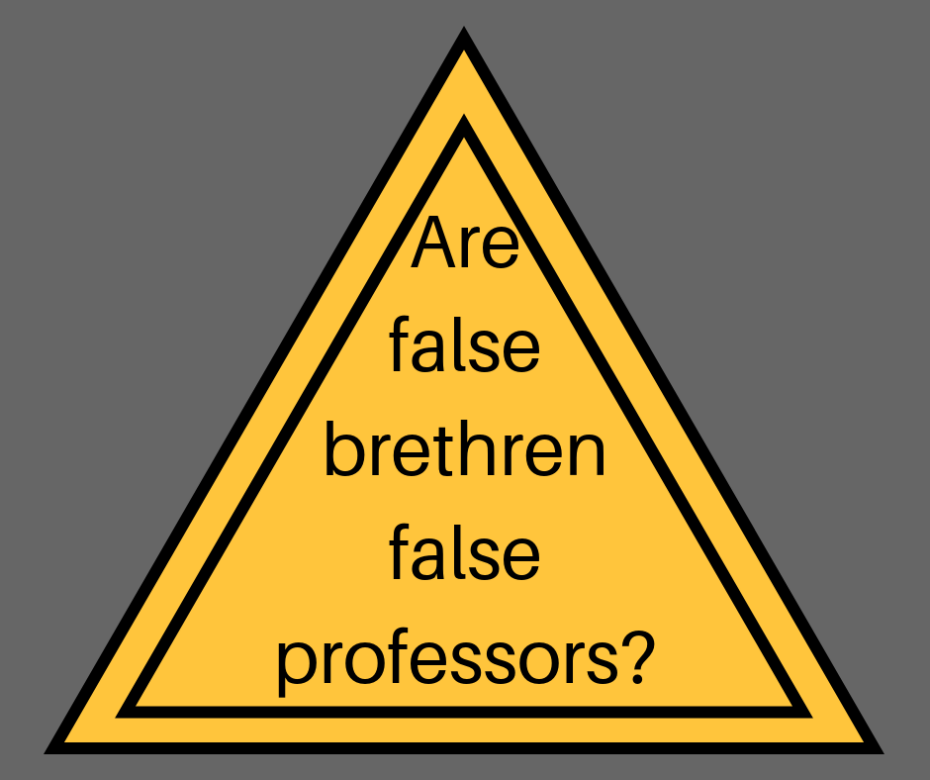 Are false brethren false professors_
