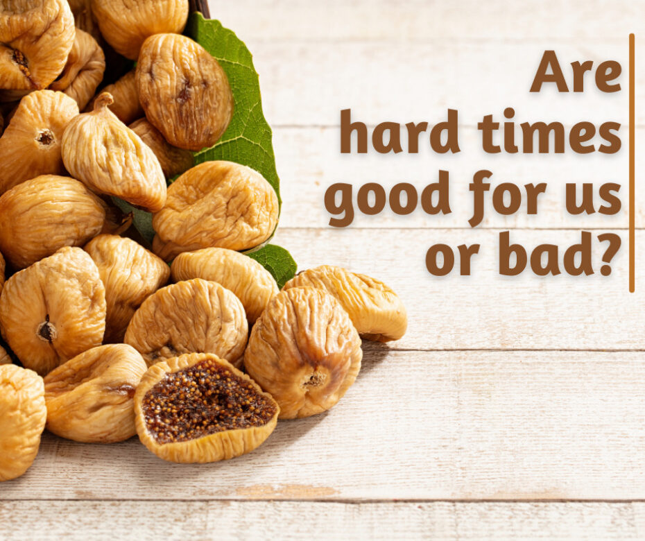 Are hard times good for us or bad