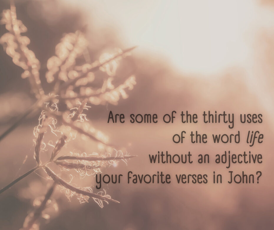 Are some of the thirty uses of the word life without an adjective your favorite verses in John