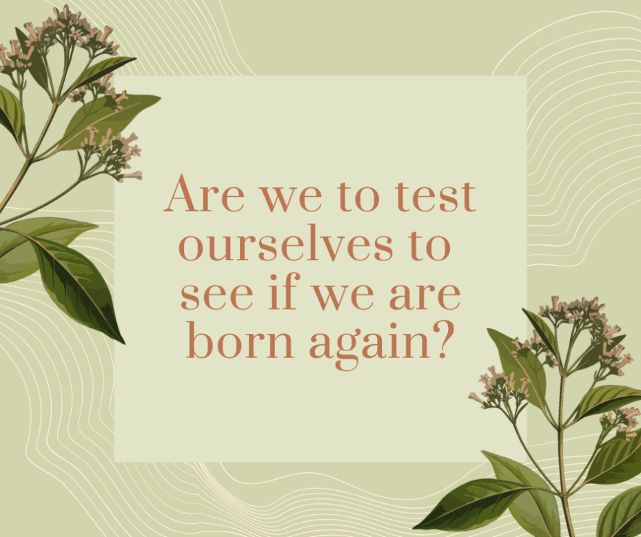 Are we to test ourselves to see if we are born again_