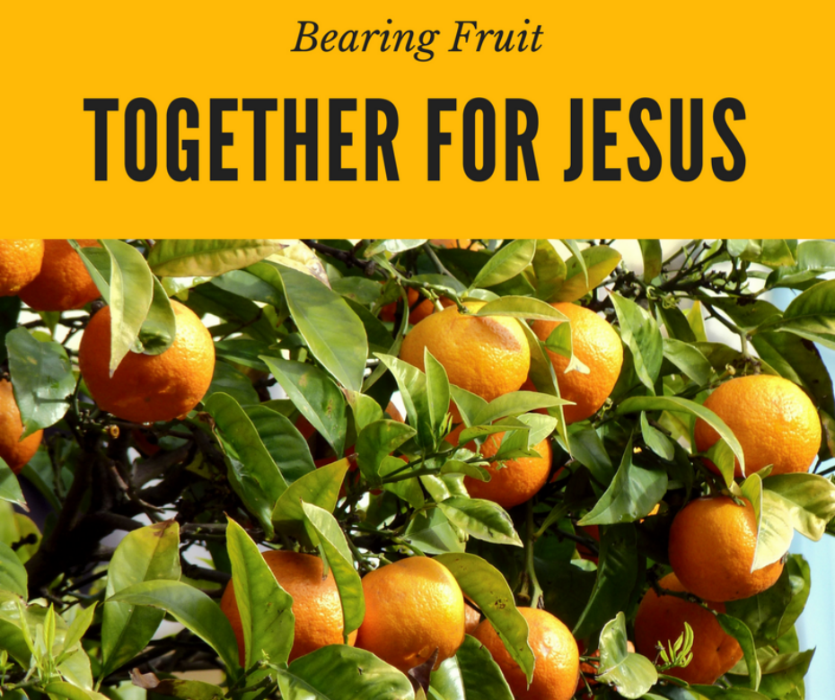 Bearing fruit