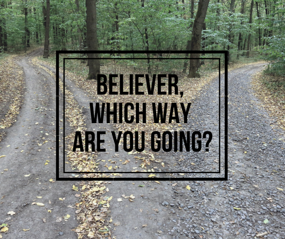 Believer, Which Way Are You Going_