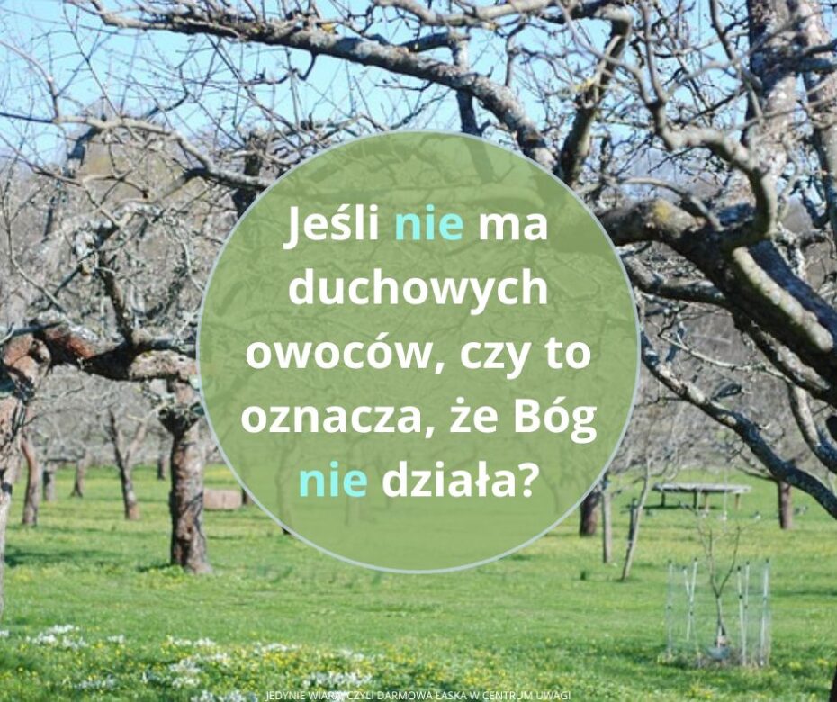 Bez korzeni, bez owoców, bez Boga