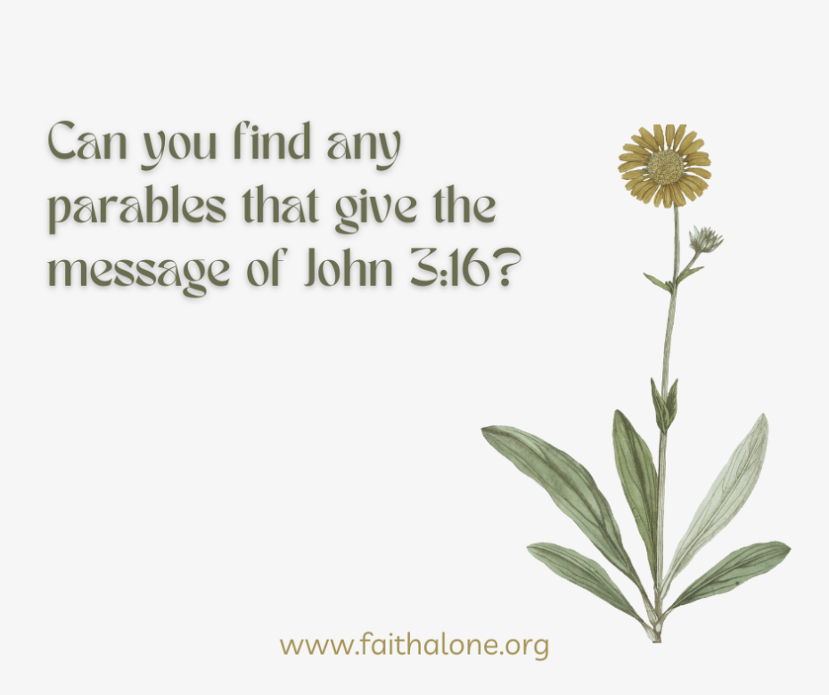 Can you find any parables that give the message of John 316