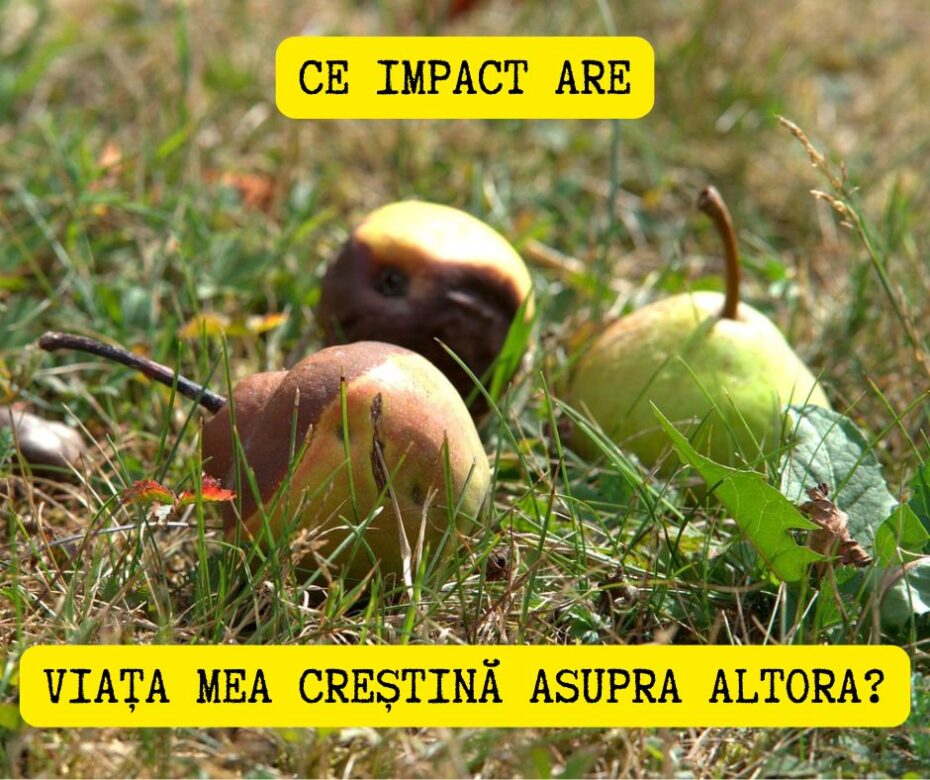 Când o persoană neprihănită dezamăgește (2 Timotei 4