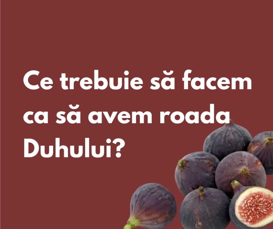 Care este roada Duhului?