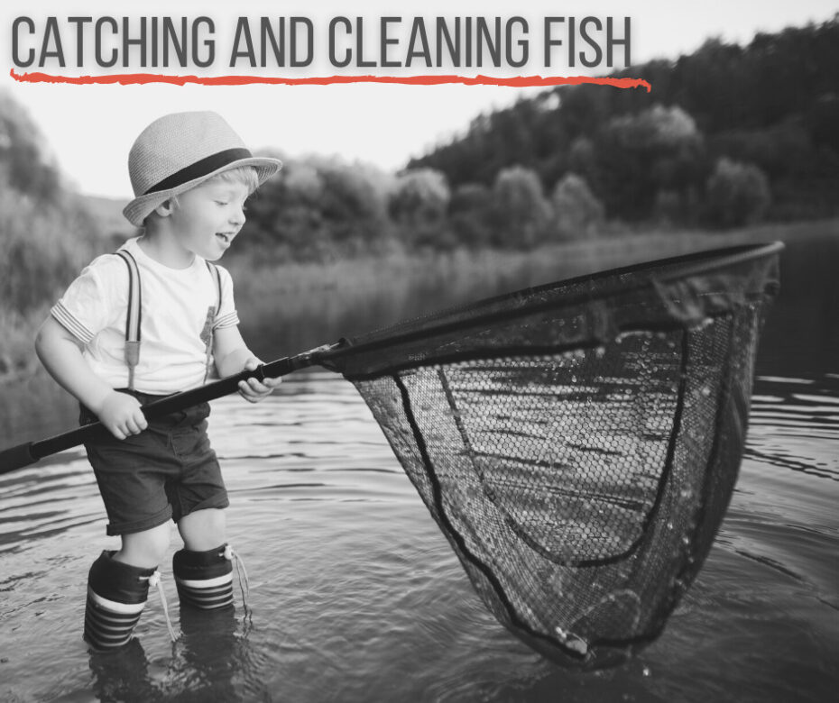 Catching and Cleaning Fish