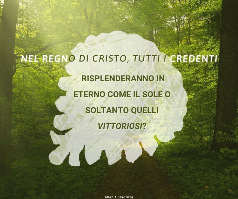 Chi sono i giusti nella parabola della zizzania e del buon seme?
