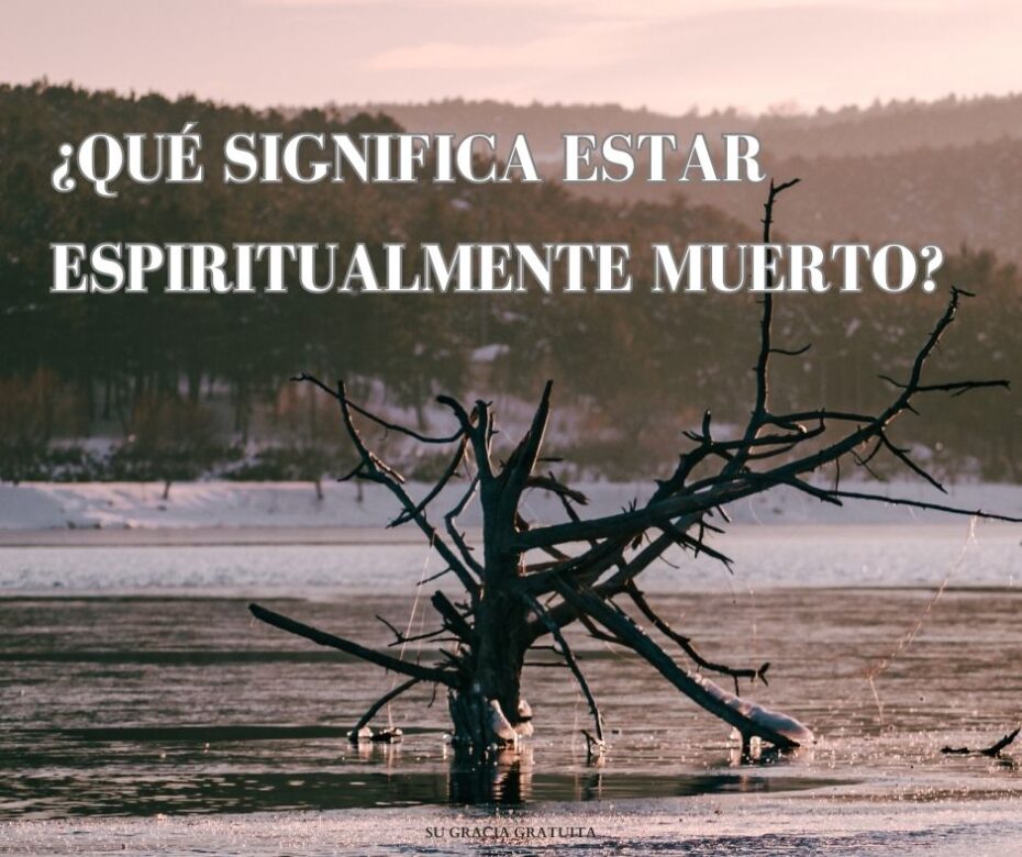 Cómo podemos ser libres para creer en Cristo