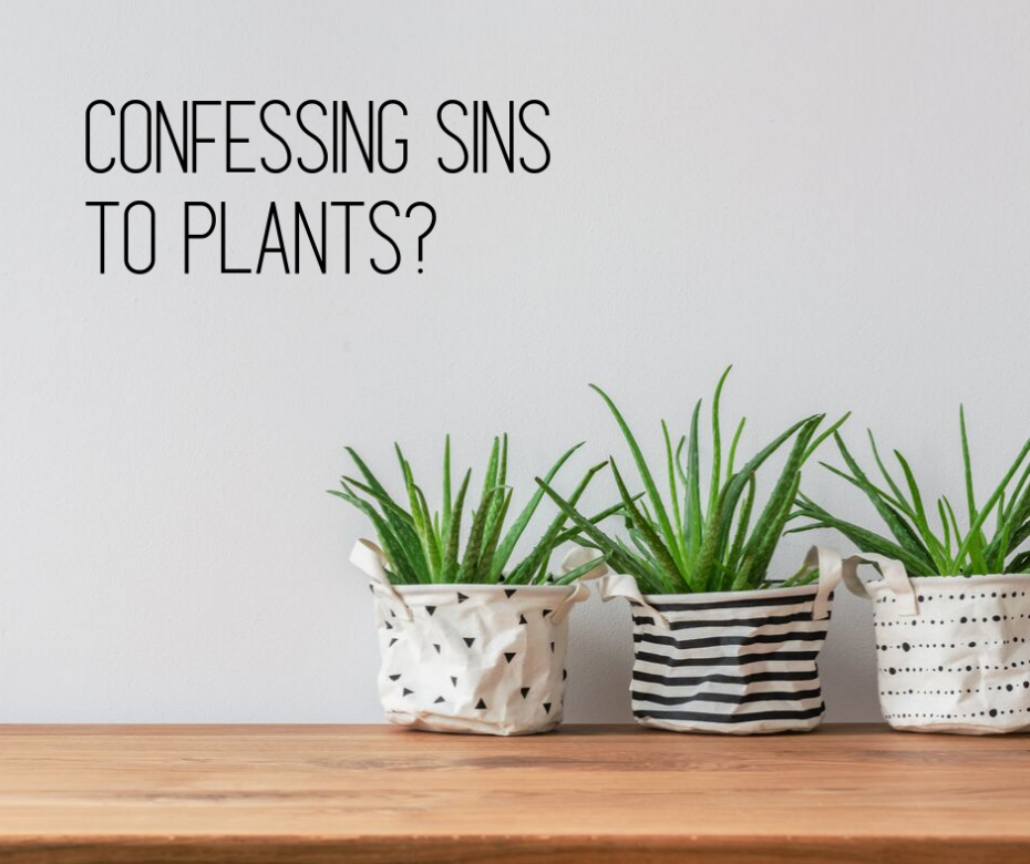 Confessing Sins to Plants_