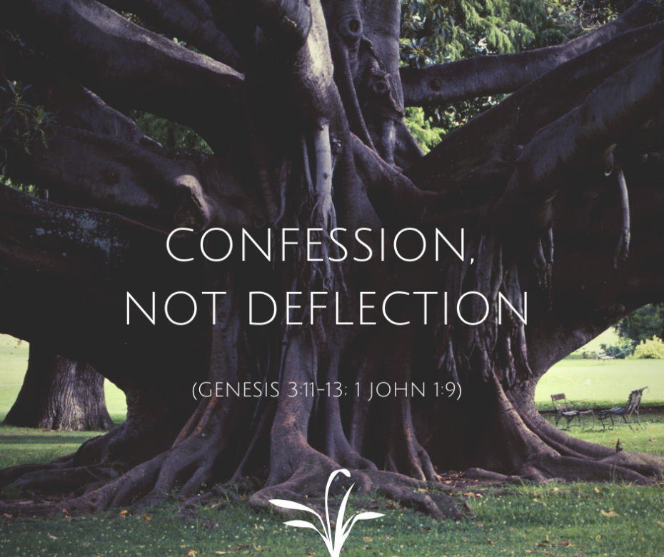 Confession, Not Deflection