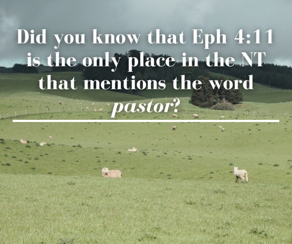 Did you know that Eph 411 is the only place in the NT that mentions the word pastor