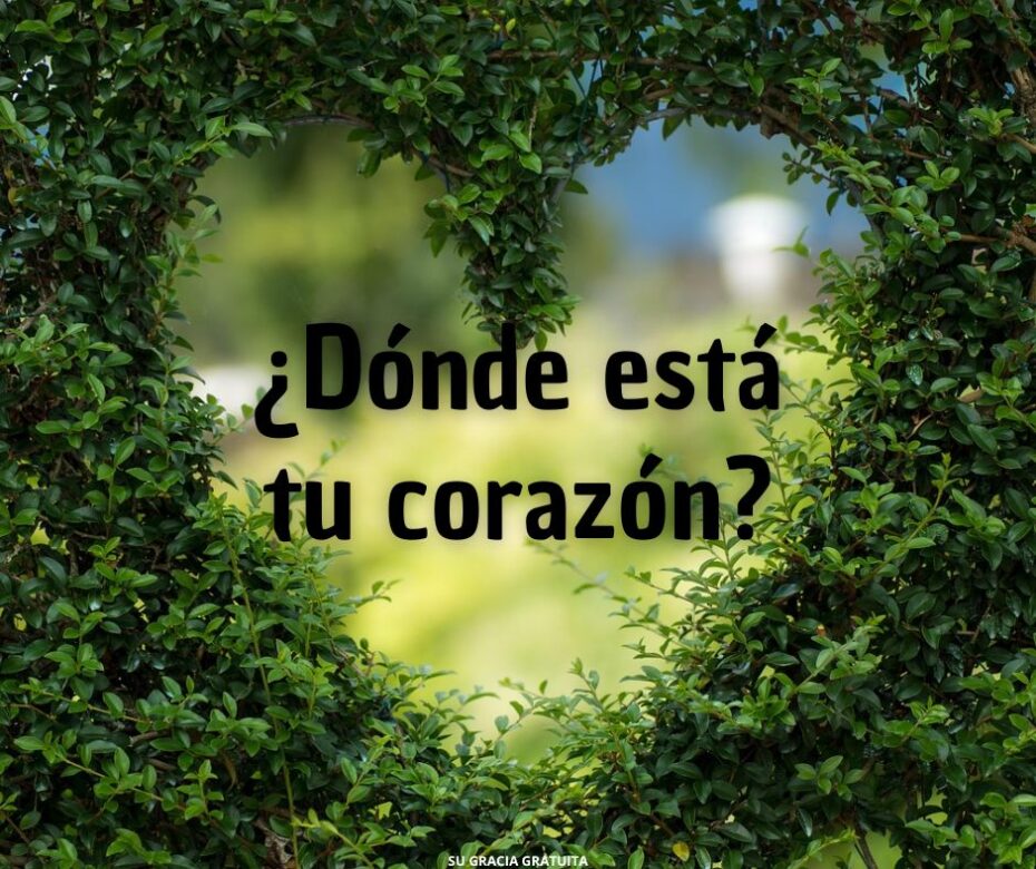 Discipulado y lealtad dividida