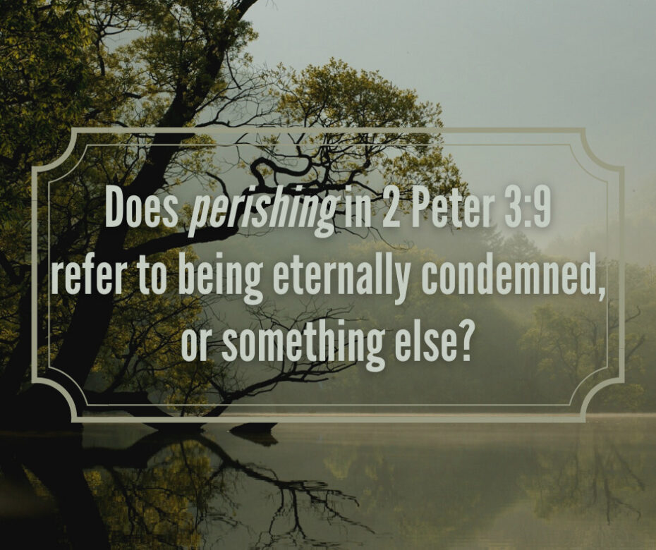 Does perishing in 2 Peter 39 refer to being eternally condemned, or something else