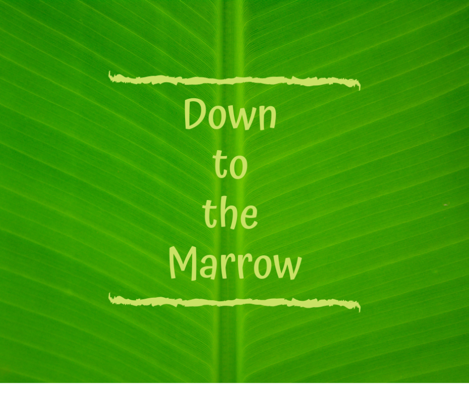 Down to the Marrow