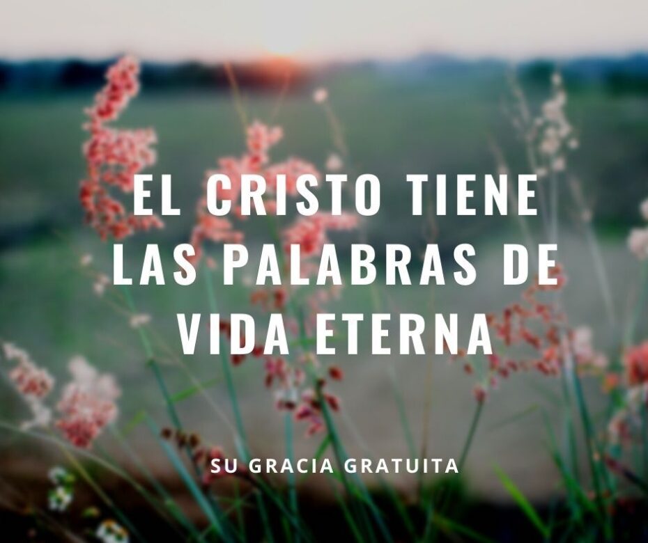El Cristo tiene las palabras de vida eterna