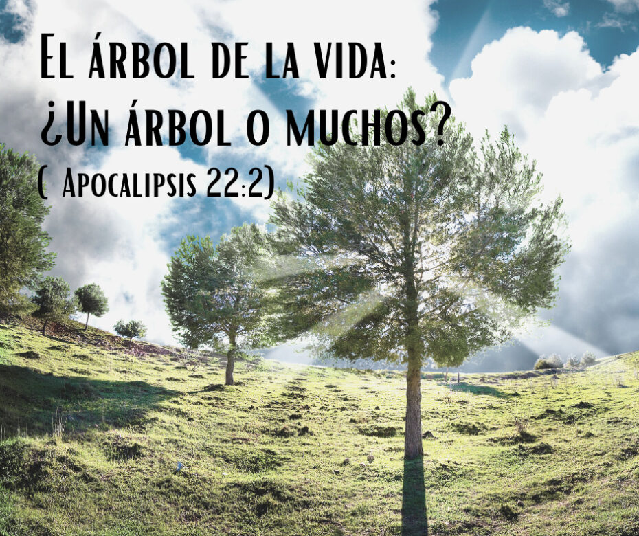 El árbol de la vida_ ¿Un árbol o muchos_