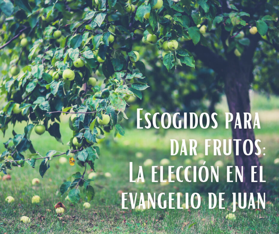 Escogidos para dar frutos_ La elección en el evangelio de juan