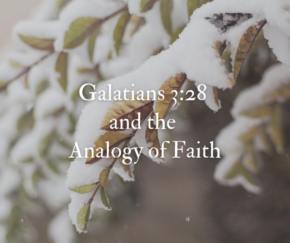 Galatians 3_28 and the Analogy of Faith