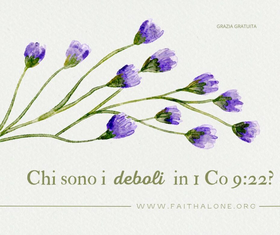 Guadagnare i deboli22