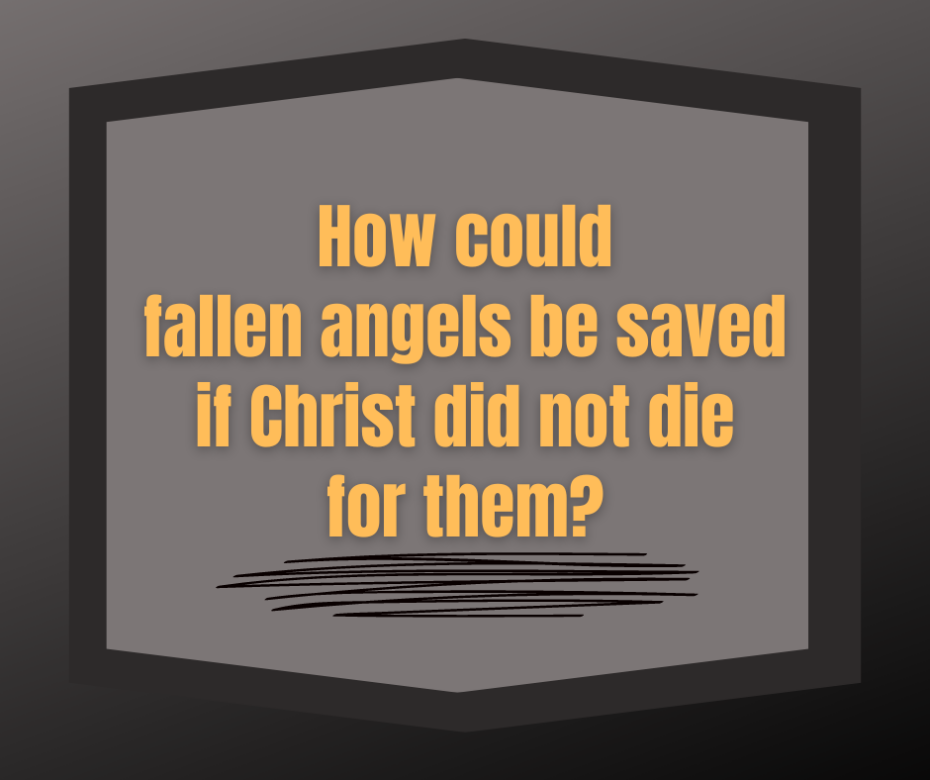 How could fallen angels be saved if Christ did not die for them