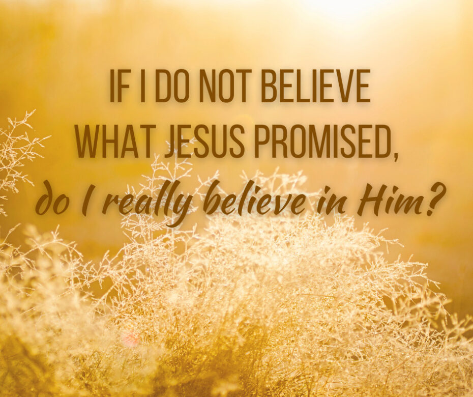 If I do not believe what Jesus promised, do I really believe in Him