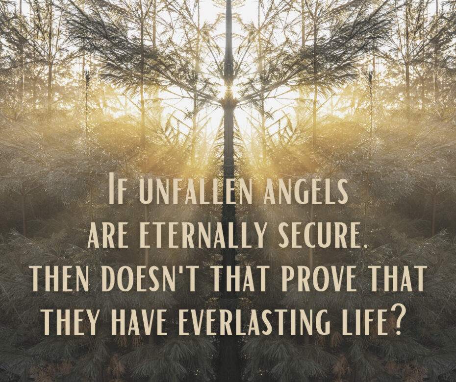 If unfallen angels are eternally secure, then doesn’t that prove that they have everlasting life