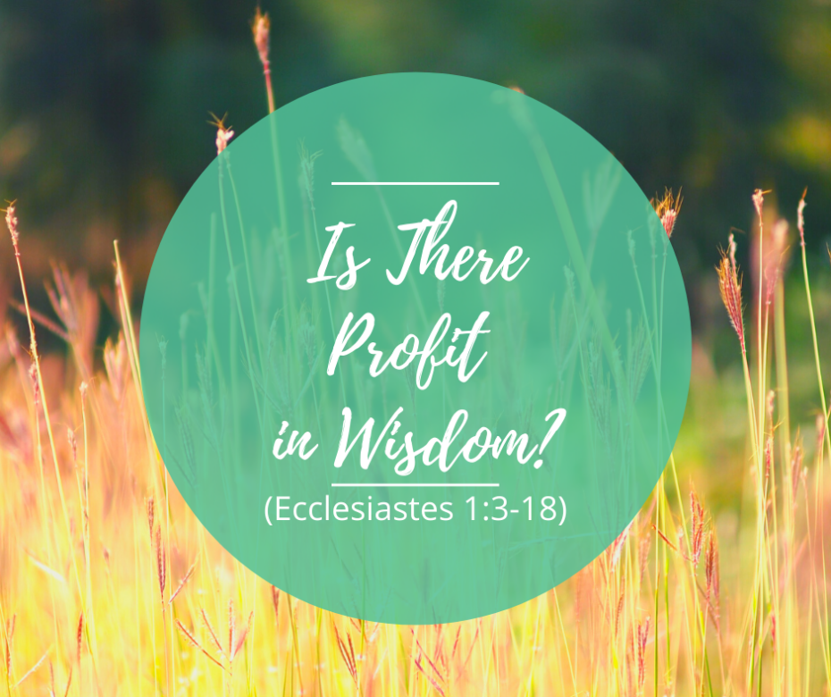_Is There Profit in Wisdom_