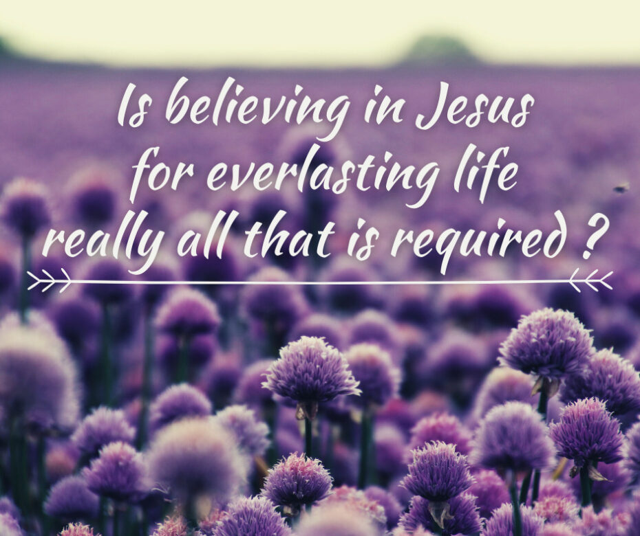 Is believing in Jesus for everlasting life really all that is required