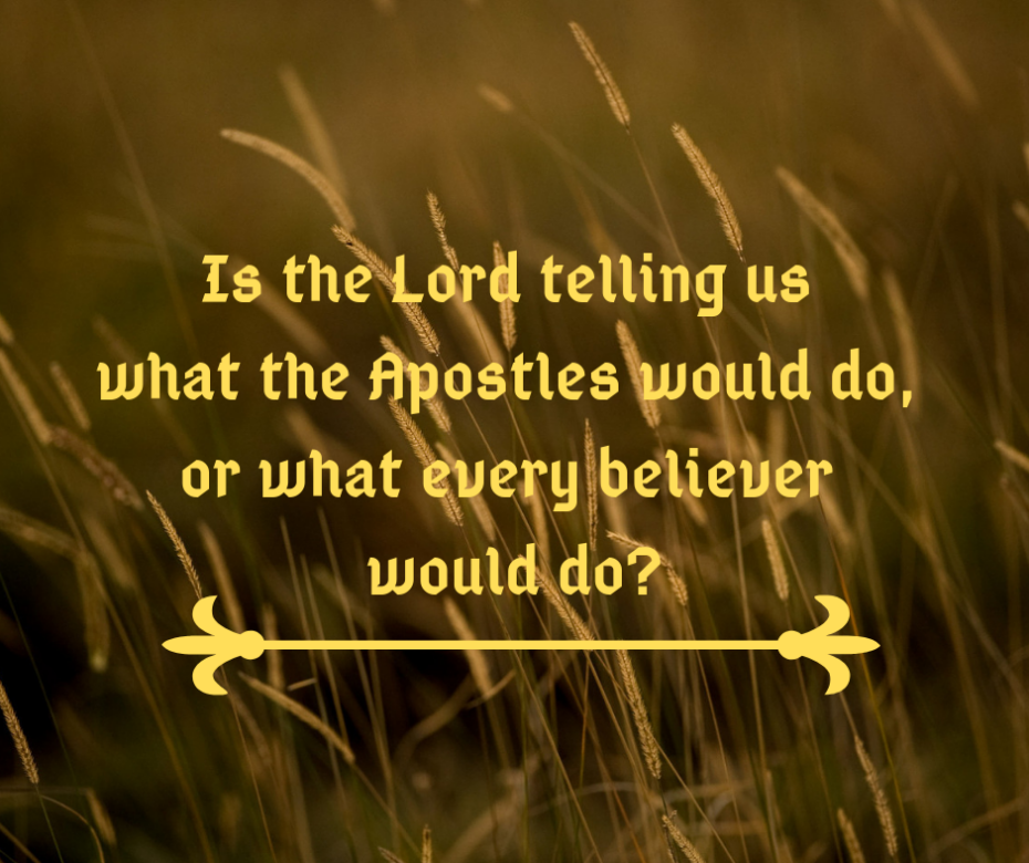 Is the Lord telling us what the Apostles would do, or what every believer would do_