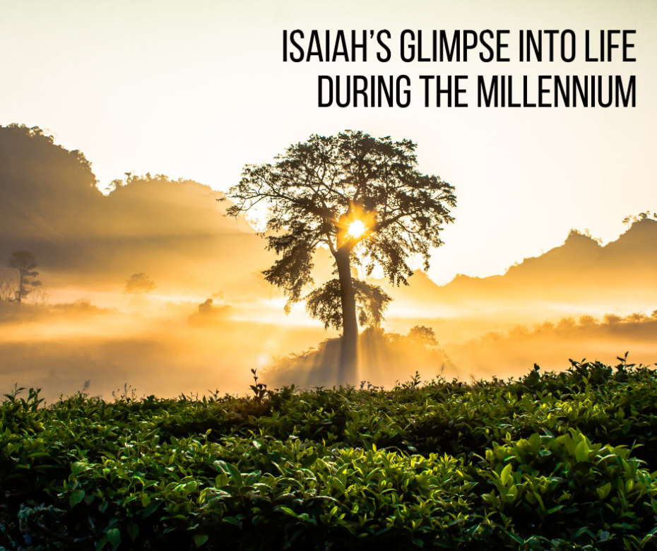 Isaiah’s Glimpse Into Life During the Millennium