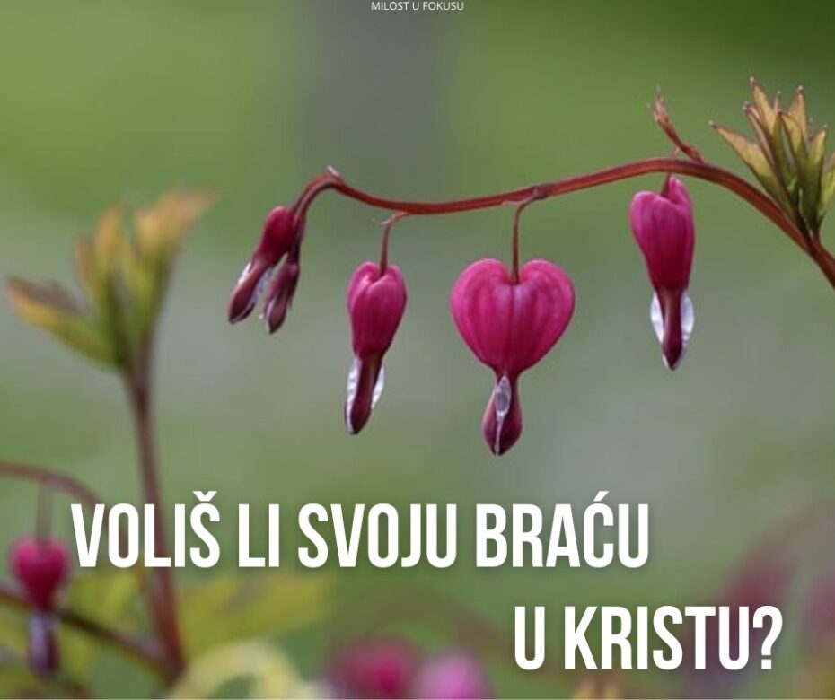 Izvođenje predstave