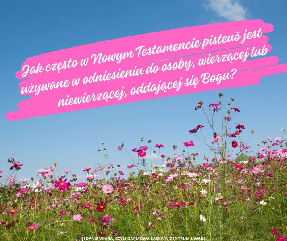 Jak często w Nowym Testamencie pisteuō jest używane w odniesieniu do osoby