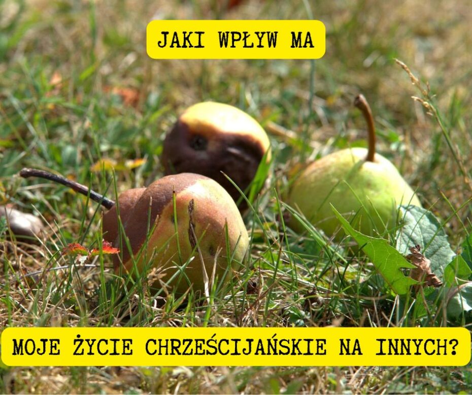 Kiedy sprawiedliwy zawodzi (2 Tymoteusza 4