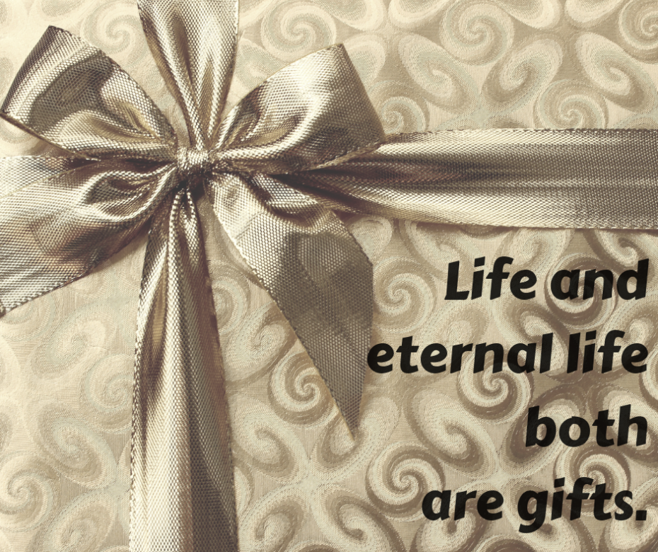 Life and eternal life both are gifts1