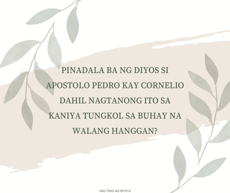 xr:d:DAGCC-C1Jb8:10,j:295410328964991723,t:24041117