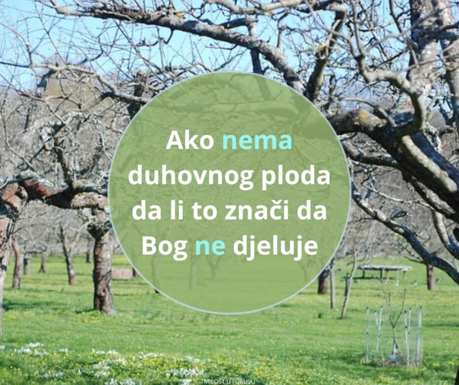 Nema korijena, nema ploda, nema Boga