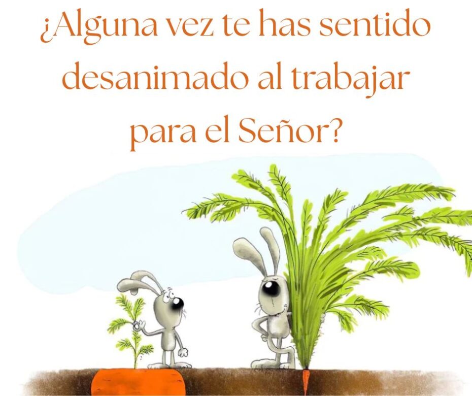 No juzgues una cosecha por el tallo