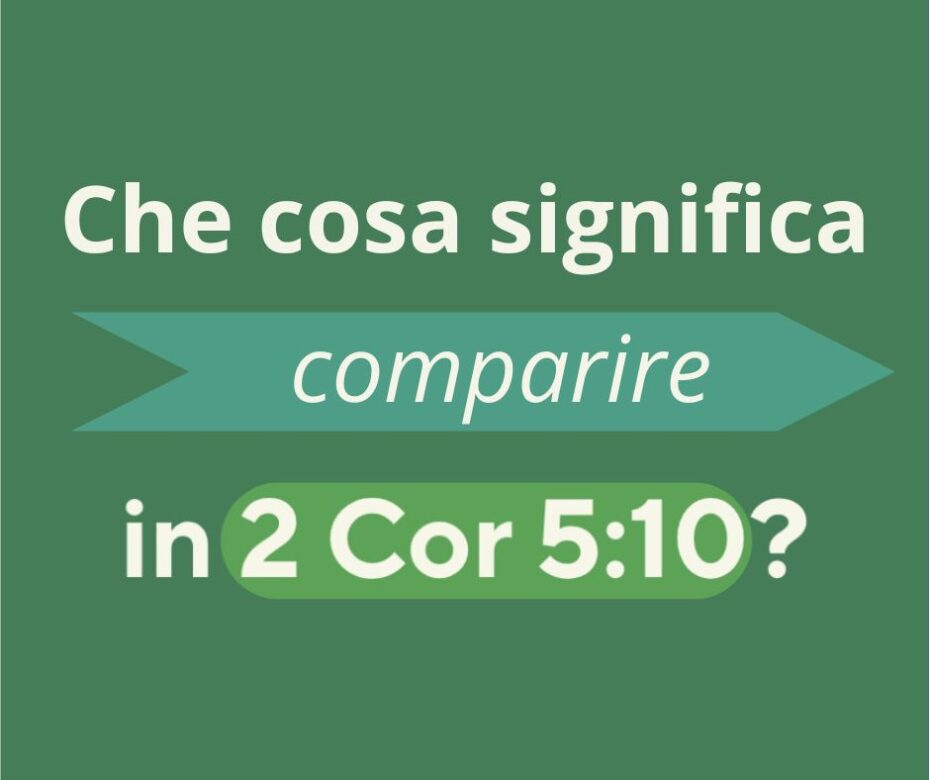 Non soltanto comparire22