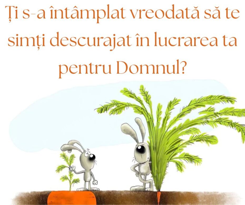 Nu judeca recolta după tulpină
