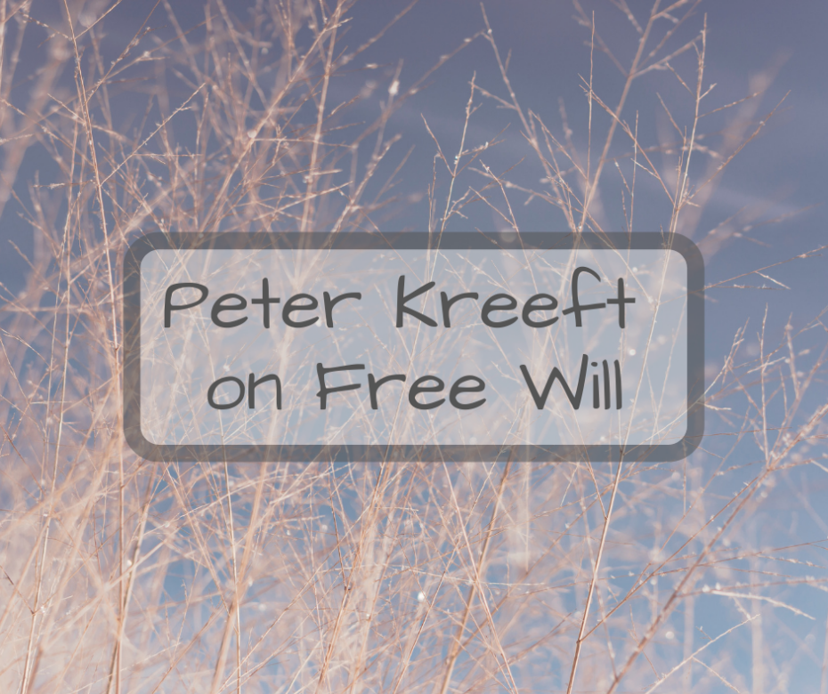 Peter Kreeft on Free Will
