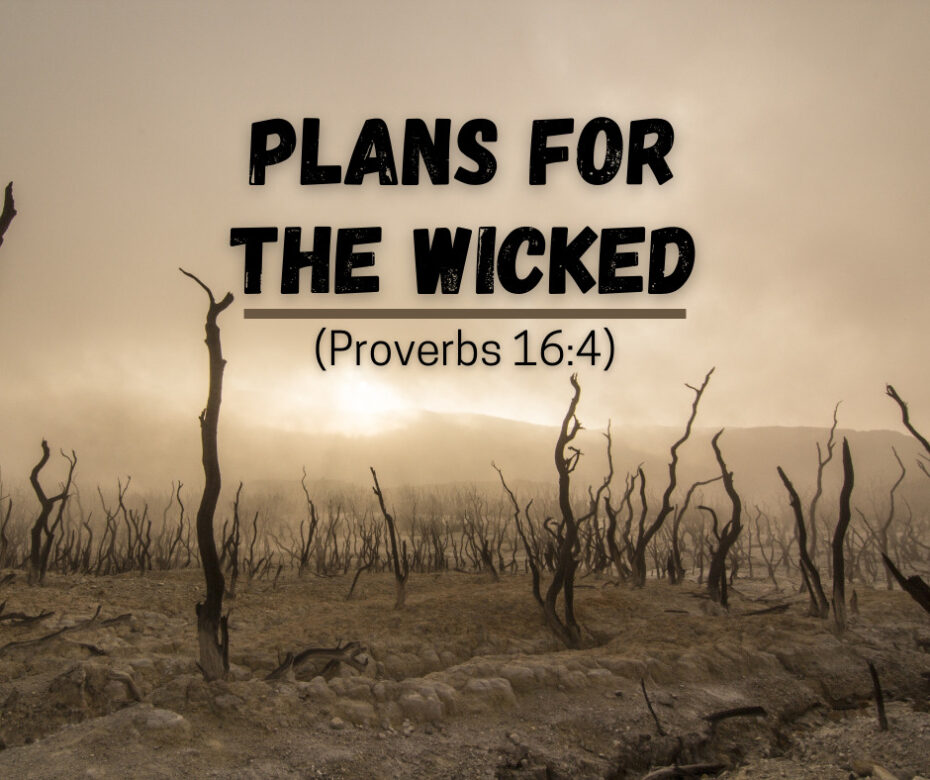 Plans for the Wicked