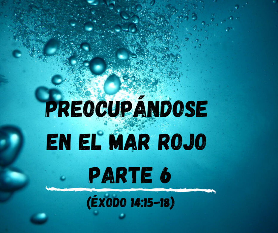 Preocupándose en el Mar Rojo Parte 6