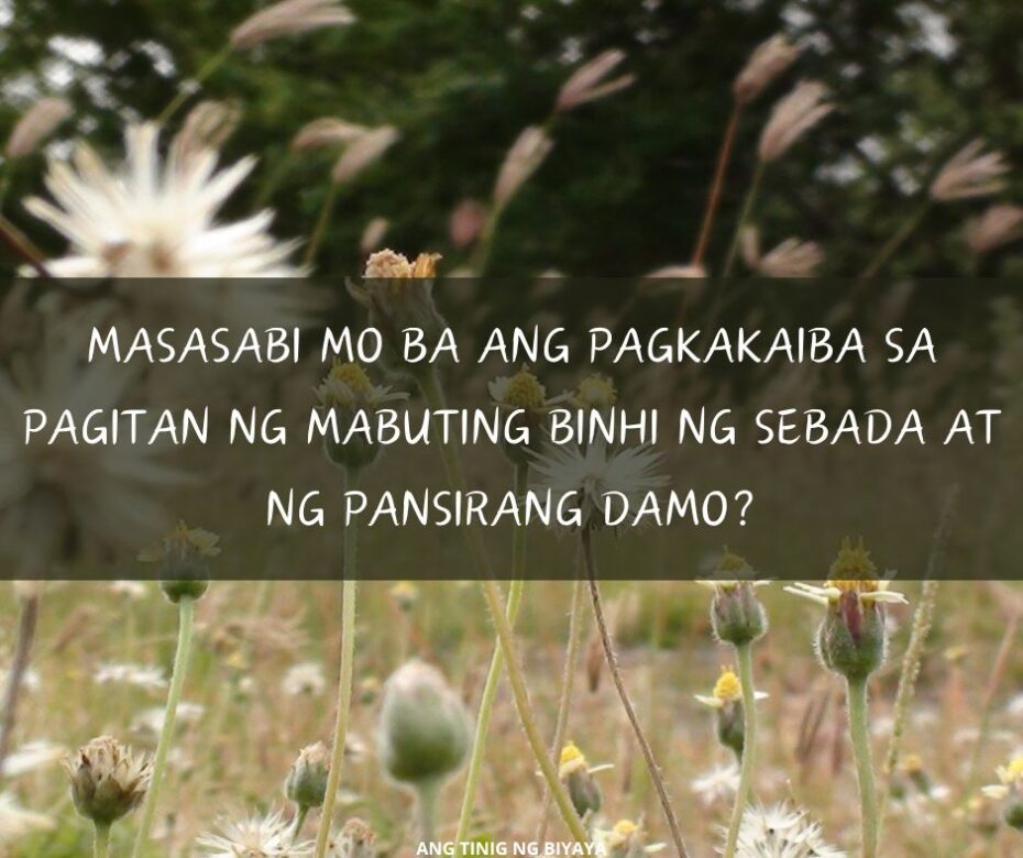 xr:d:DAGB8xlvjsg:6,j:4710063666901444562,t:24040919