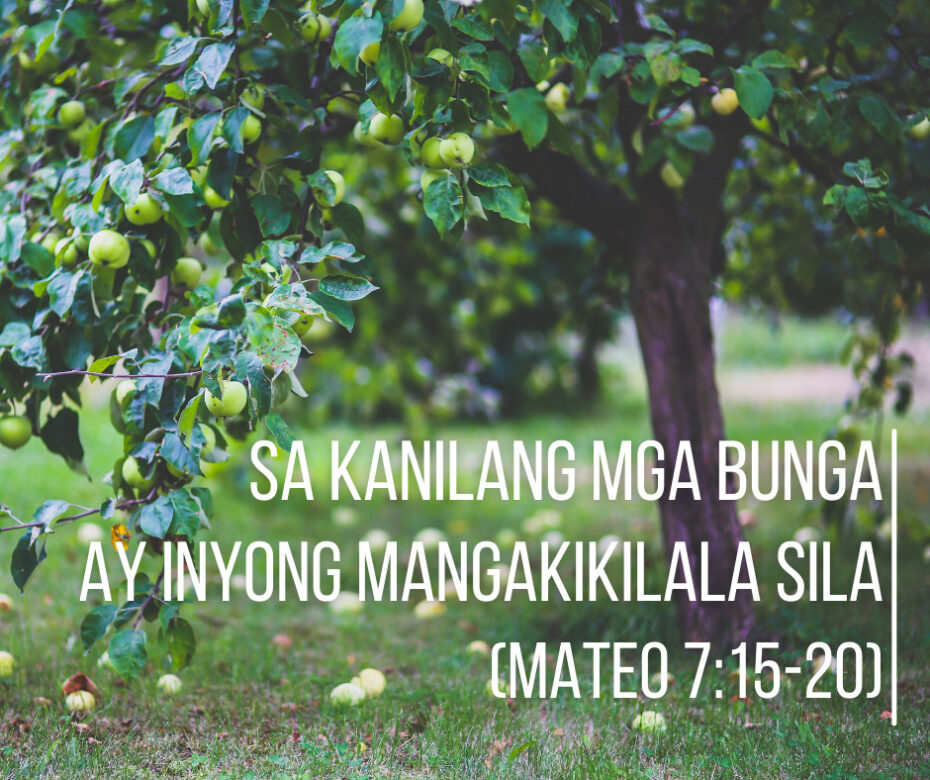 Sa Kanilang Mga Bunga Ay Inyong Mangakikilala Sila (Mateo 715-20)