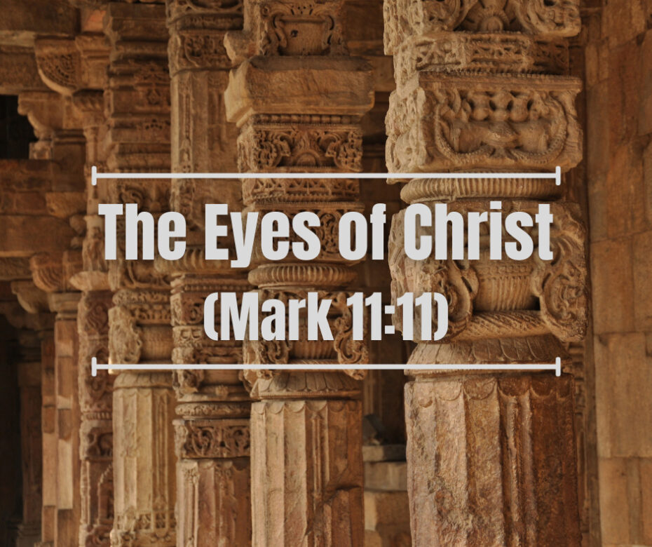 The Eyes of Christ (Mark 1111)
